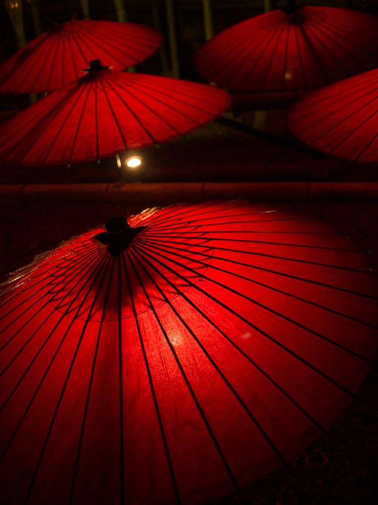 Red umbrellas, background photo. Free public domain CC0 image.