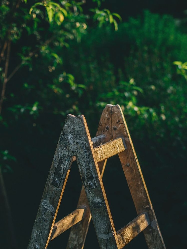 Wood ladder. Free public domain CC0 photo.