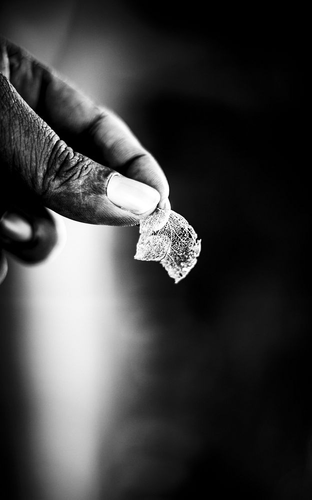 Man holding leaf, background photo. Free public domain CC0 image.