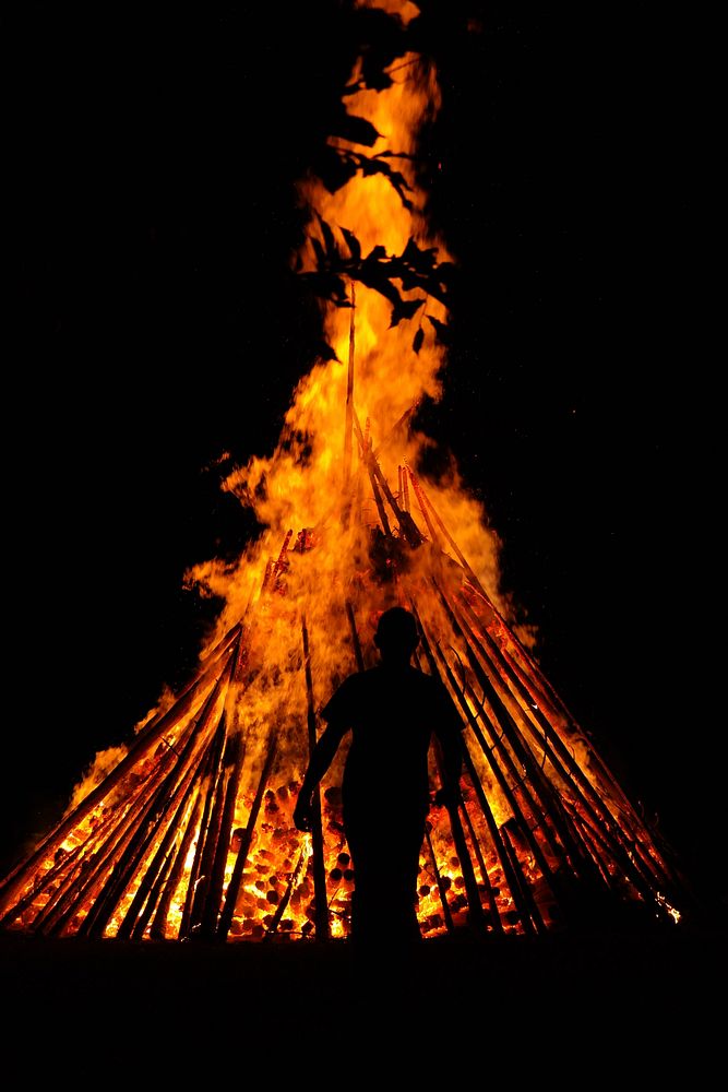 Bonfire in woods. Free public domain CC0 photo.