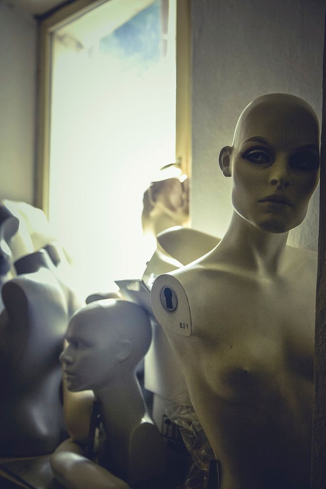 Mannequin. Free public domain CC0 photo.