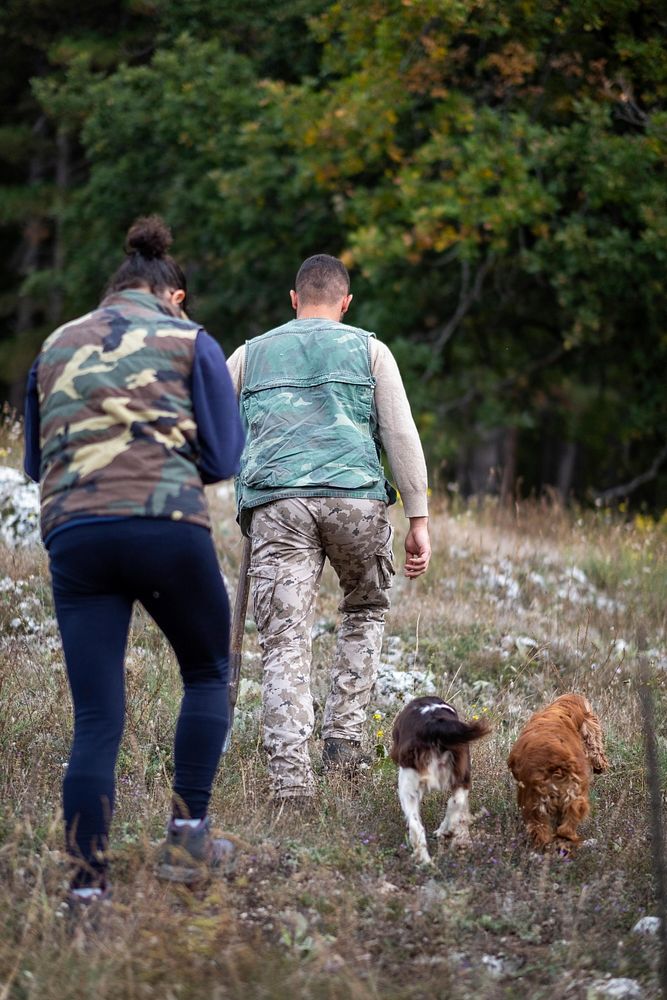Rear view of young couple walking with two dogs in the forest
