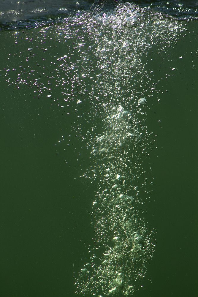 Bubbles underwater background. Free public domain CC0 photo.