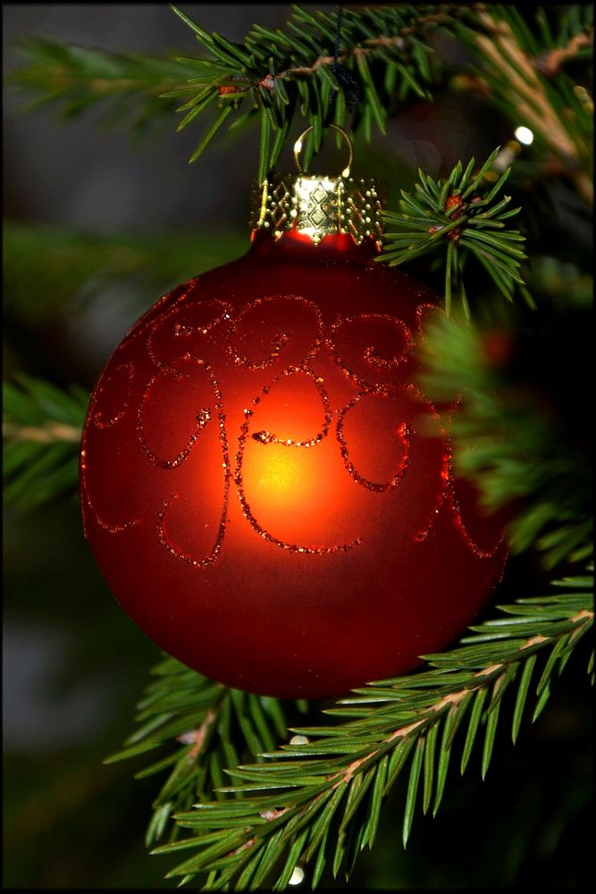 Close up on red Christmas tree ornament. Free public domain CC0 photo.