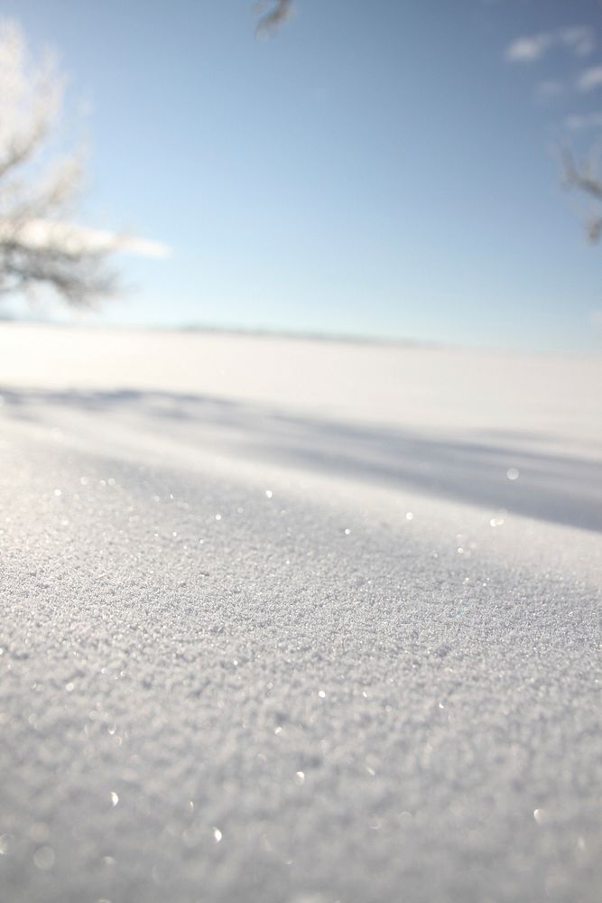 Closeup on ground covered in snow. Free public domain CC0 image. 