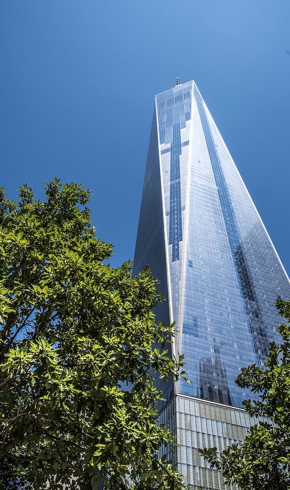 Modern building facade. Free public domain CC0 photo.