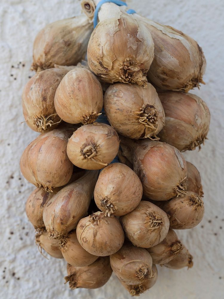 Onion vegetables. Free public domain CC0 photo