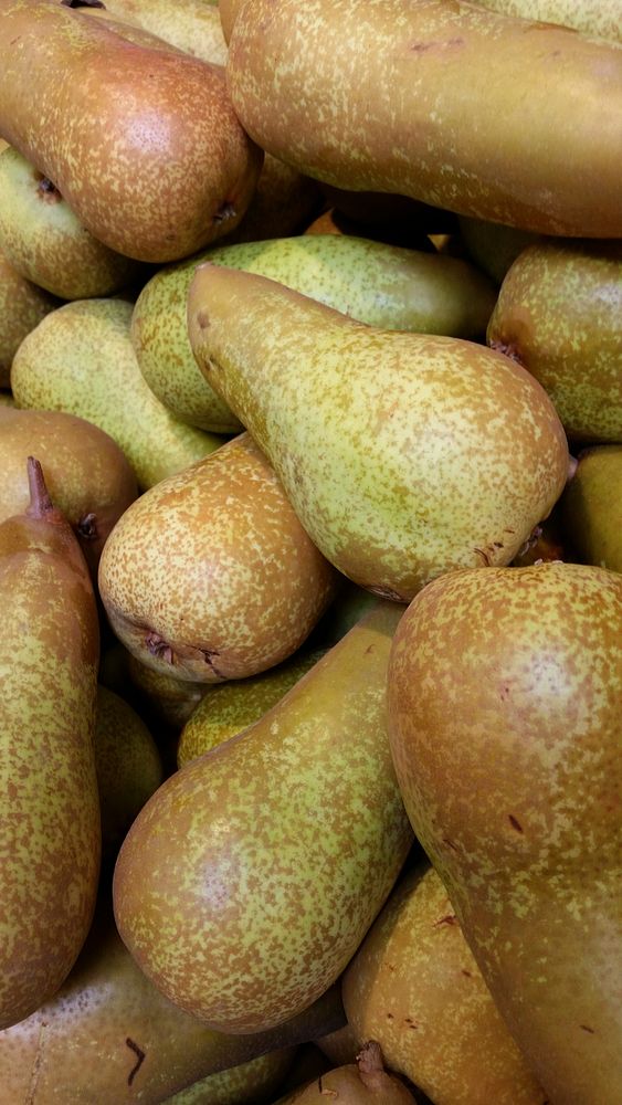 Pile of green pears. Free public domain CC0 photo.