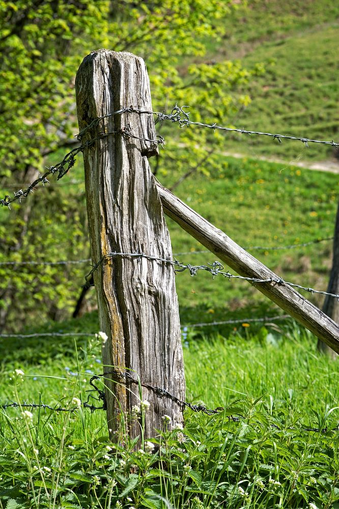 Barbed wire fence, security protection. Free public domain CC0 image