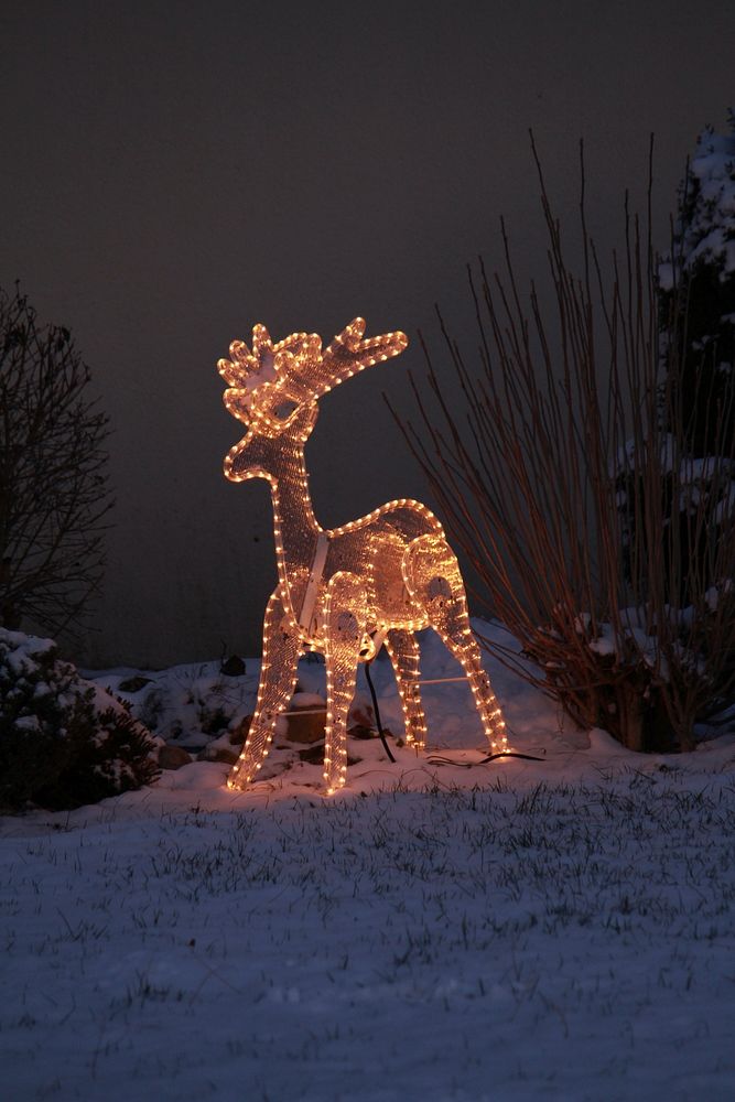 Outdoor reindeer lights Christmas decoration. Free public domain CC0 image.