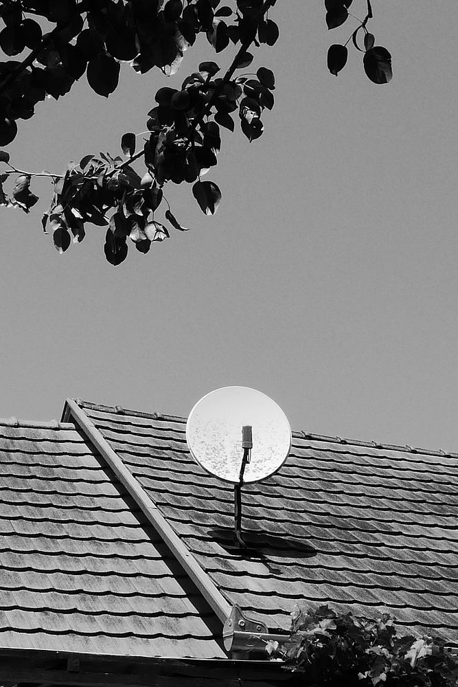 Satellite dish TV. Free public domain CC0 photo.