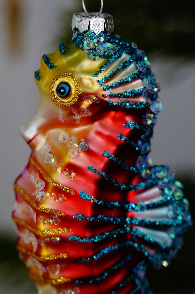 Closeup on seahorse Christmas ornament. Free public domain CC0 photo.