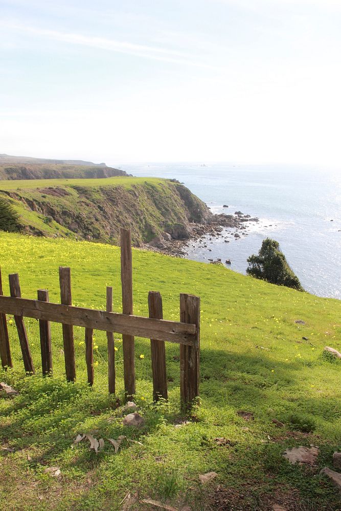 Wooden fence in seaside coastline. Free public domain CC0 photo.