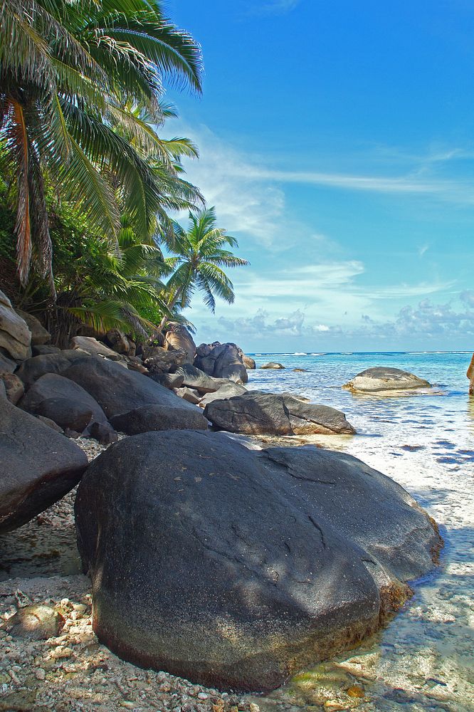 Seychelles island shore side view. Free public domain CC0 image.