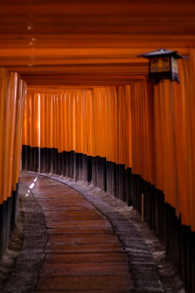 Fushimi Inari shrine, Kyoto, Japan. Free public domain CC0 photo.