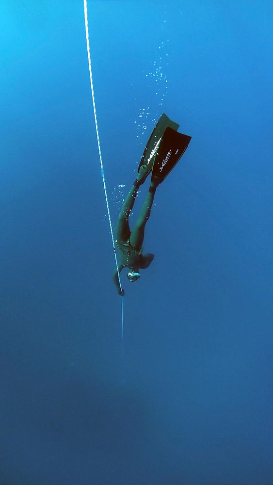 Diver diving in the sea, free public domain CC0 photo.