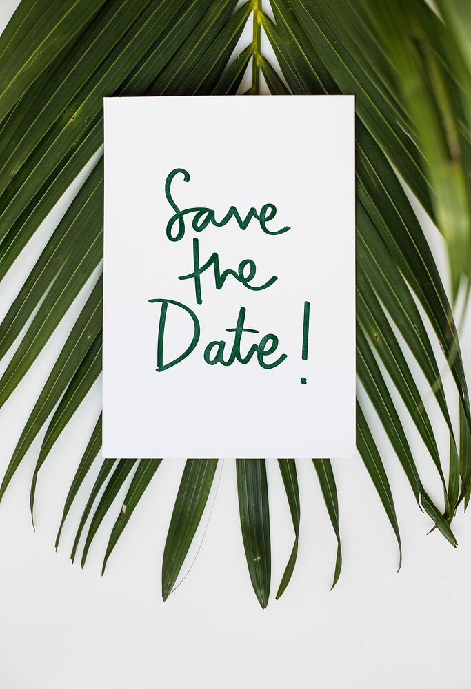 Phrase Save the Date in tropical background