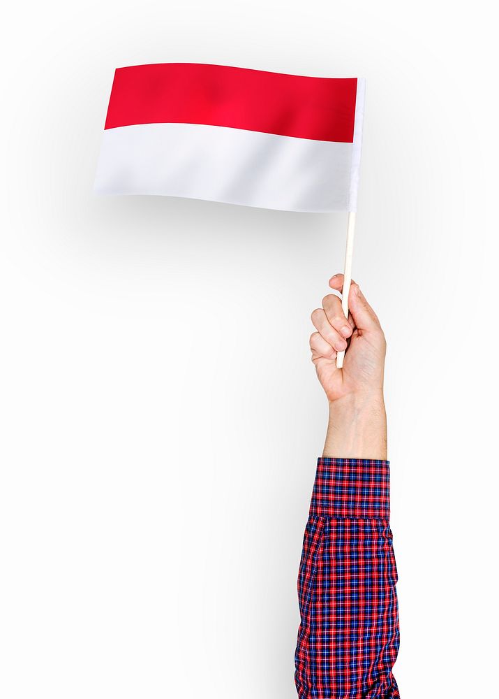 Person waving the flag of Principality of Monaco