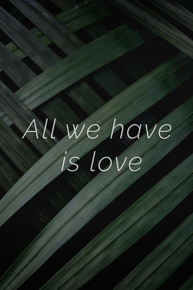 All we have is love quote on a palm leaves background