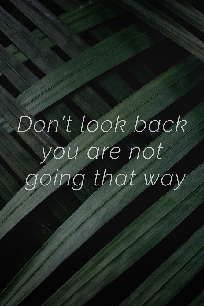 Don't look back you are not going that way quote on a palm leaves background
