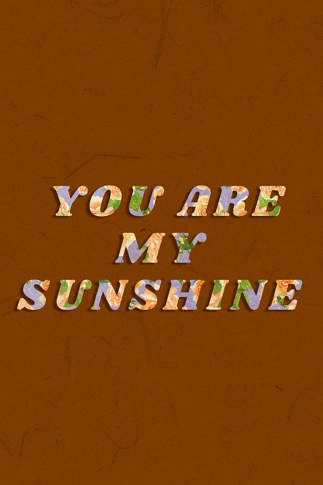 You are my sunshine retro floral pattern typography