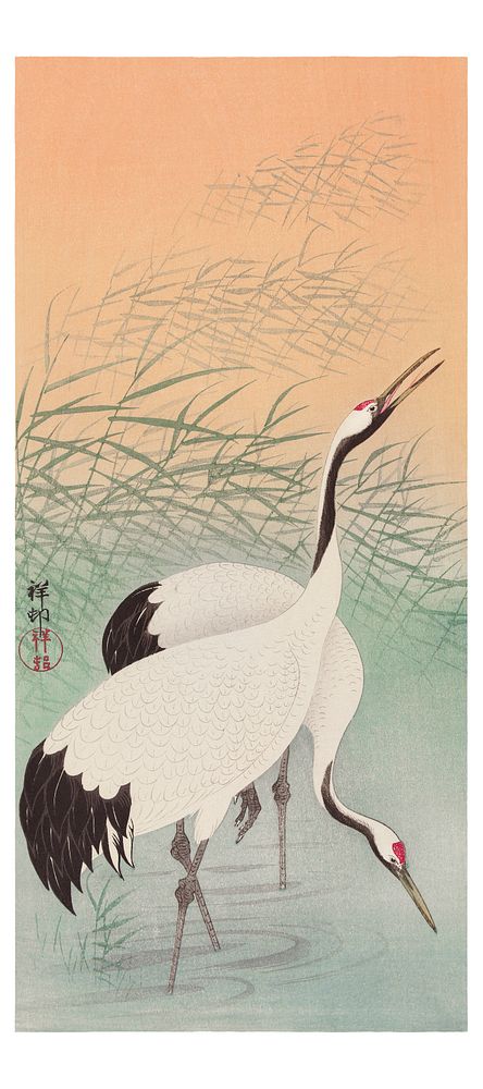 Ohara Koson art print, vintage cranes Japanese artwork (1877-1945). Original from The Rijksmuseum. Digitally enhanced by…