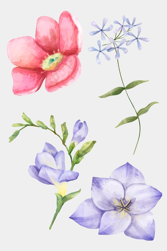Vintage flowers watercolor painting collection