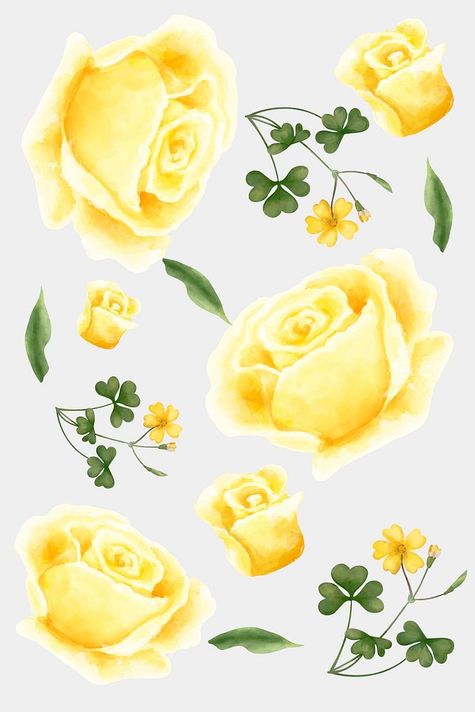 Yellow blooming flowers watercolor illustration collection