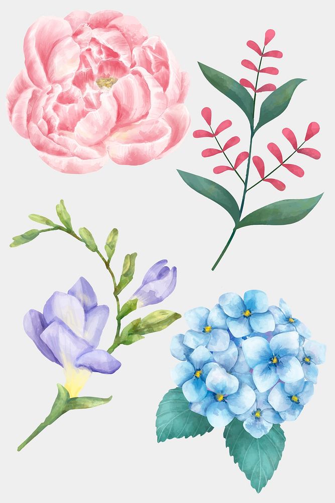 Vintage blooming flowers watercolor clipart collection
