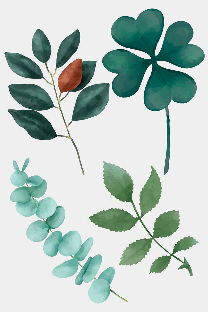 Green leaves watercolor drawing collection