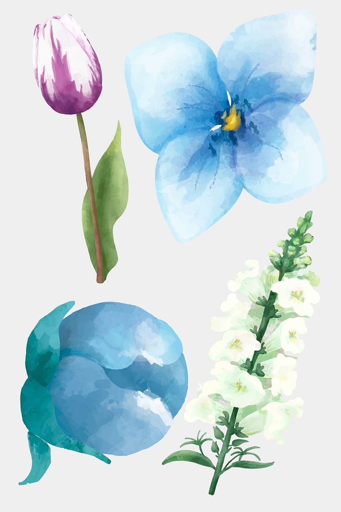 Colorful blooming flowers watercolor illustration set