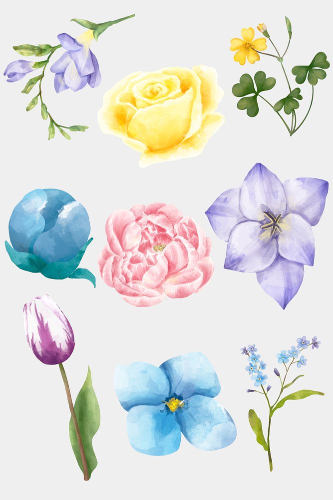Vintage blooming flowers watercolor clipart collection