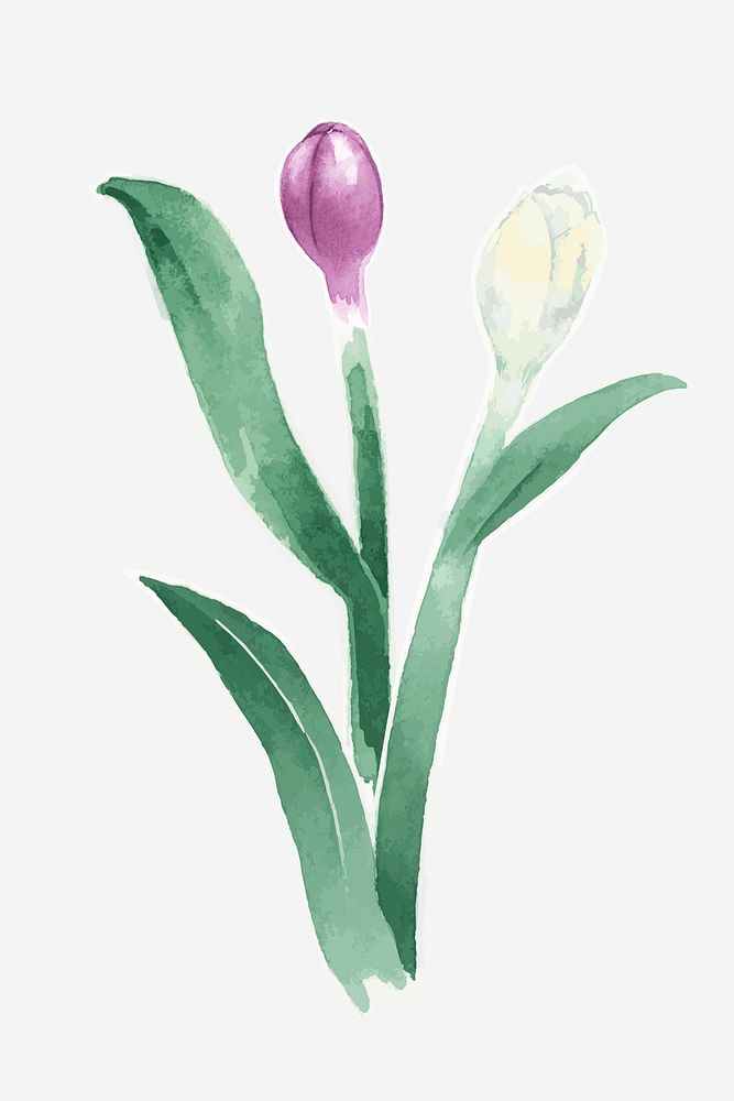 Classic flower plant hand drawn watercolor
