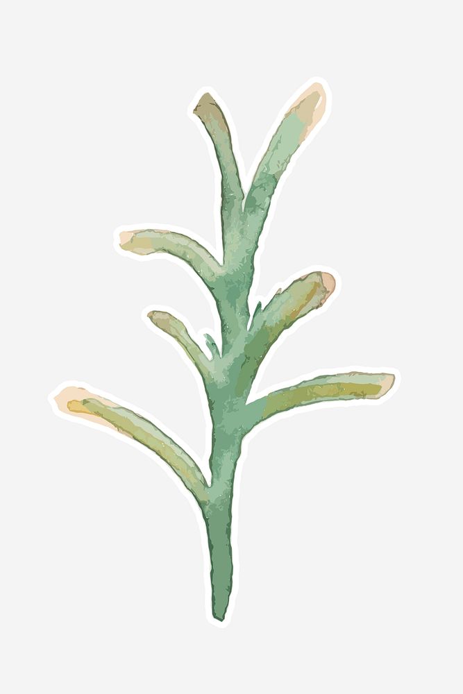 Classic green plant hand drawn watercolor decoration