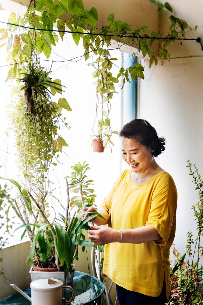 Asian woman is taking care of plants