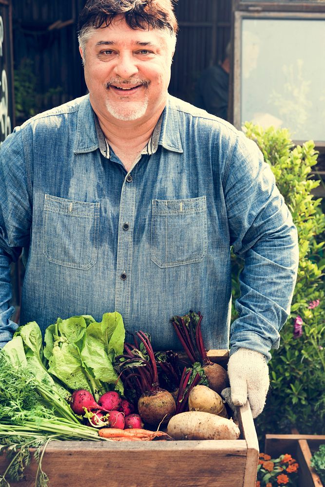 Adult Man Hands Holding Wooden Box of Fresh Vegetable From Farm