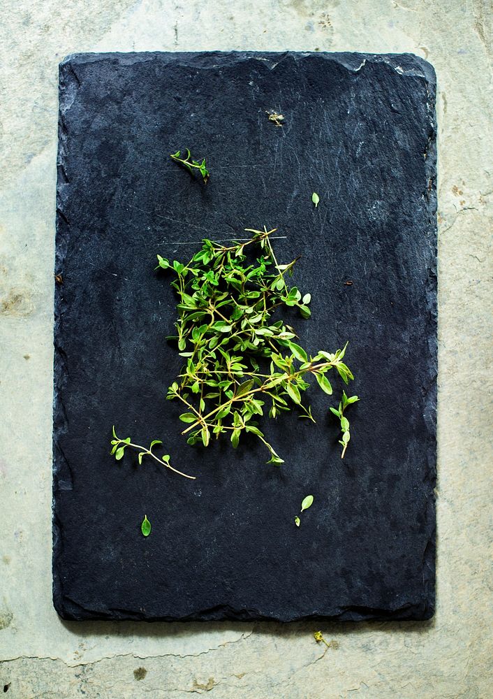 Fresh green herb on a black plate