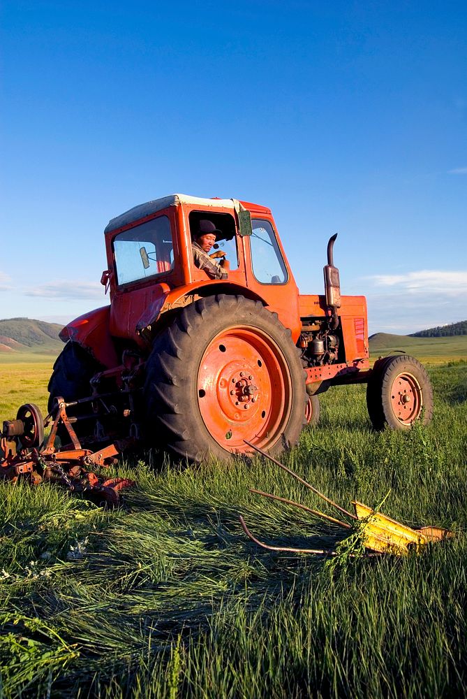 Mongolian farmer driving his tractor in the field