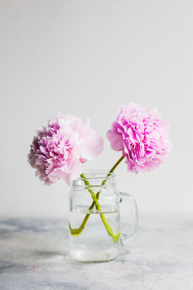 Decorative pink carnations in a jug
