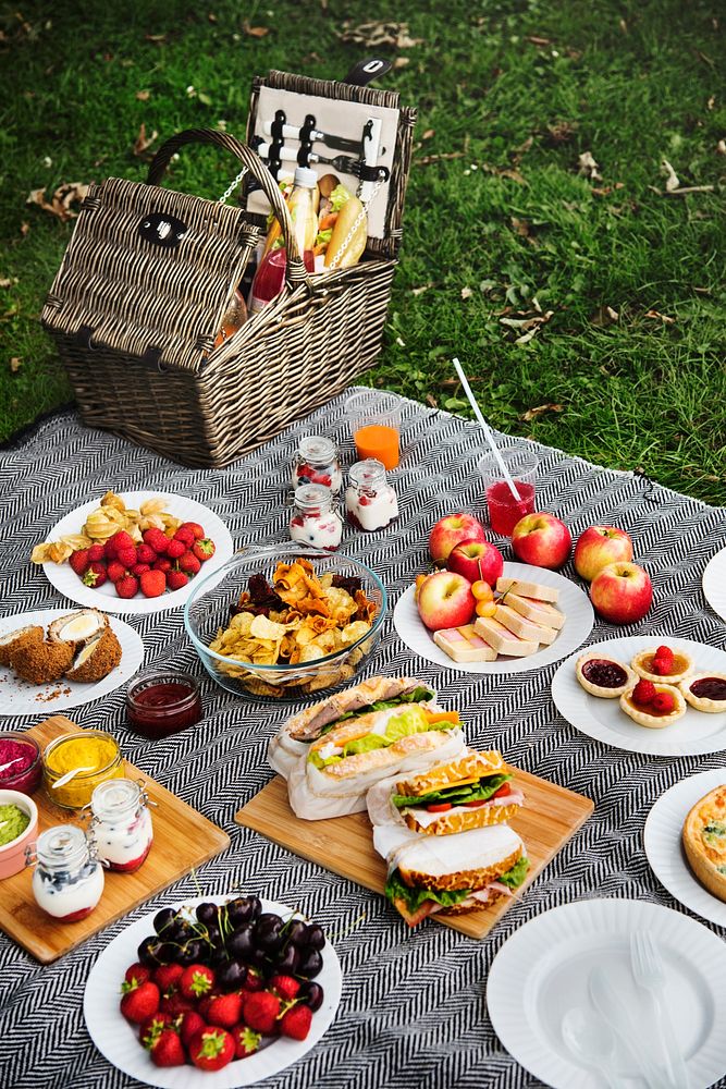Picnic Lunch Meal Outdoors Park Food Concept