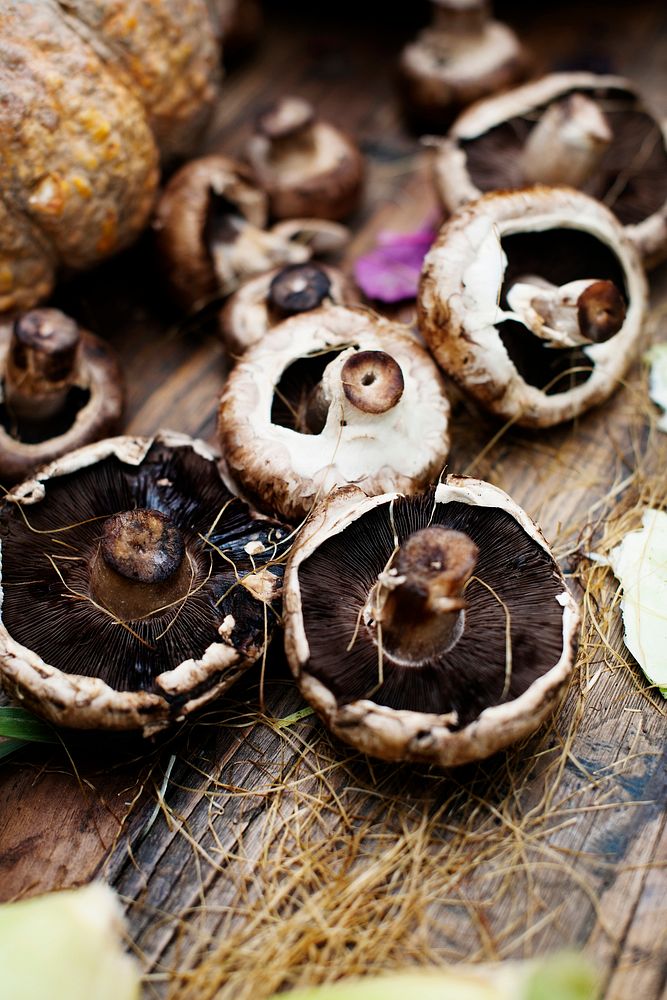 Closeup of fresh bunch of portobello mushroom on wooden table