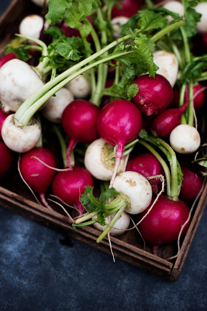 Radishes and white turnips