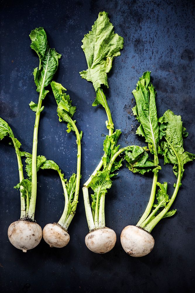 Raw nutrition fresh natural turnips Premium Photo rawpixel