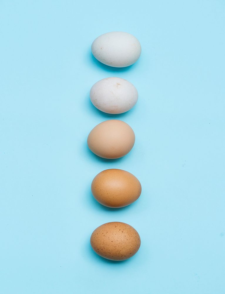 Closeup of fresh organic various eggs