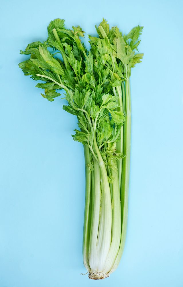 Closeup of fresh celery on blue background