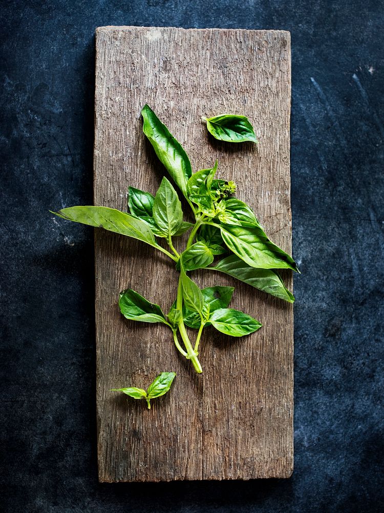 Basil herb spices on wooden textured