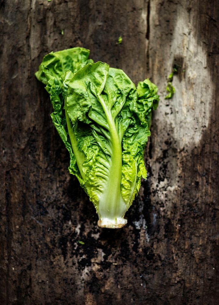 Closeup of romaine salad on wooden table