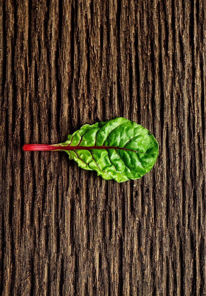 Natural organic fresh green leaf on a wood