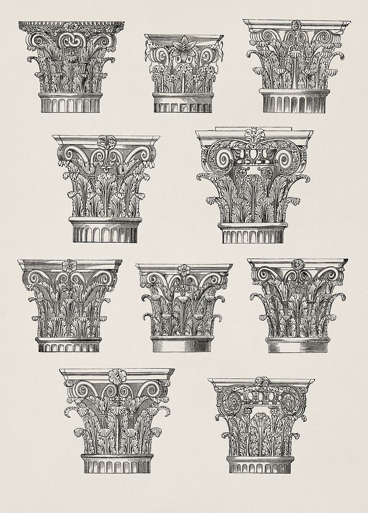 Top of column. Digitally enhanced from our own 19th Century Grammar of Ornament by Owen Jones. 