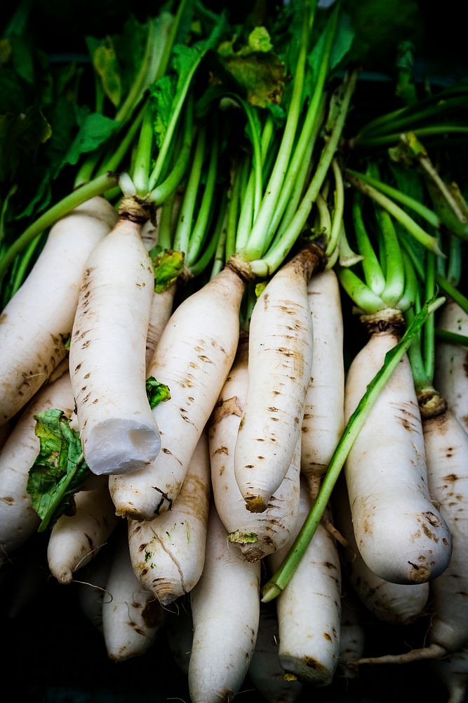 White Radish Carrot Vegetable Food